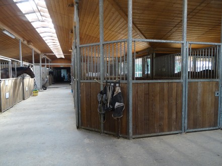 Pferdeboxen